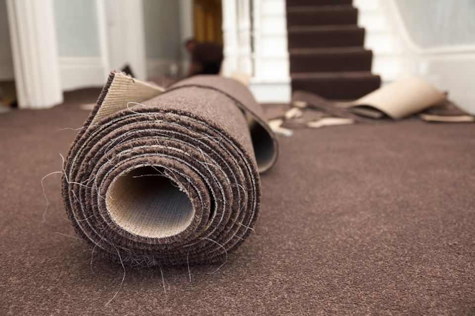 Greater Options for the Proper Options in Carpeting