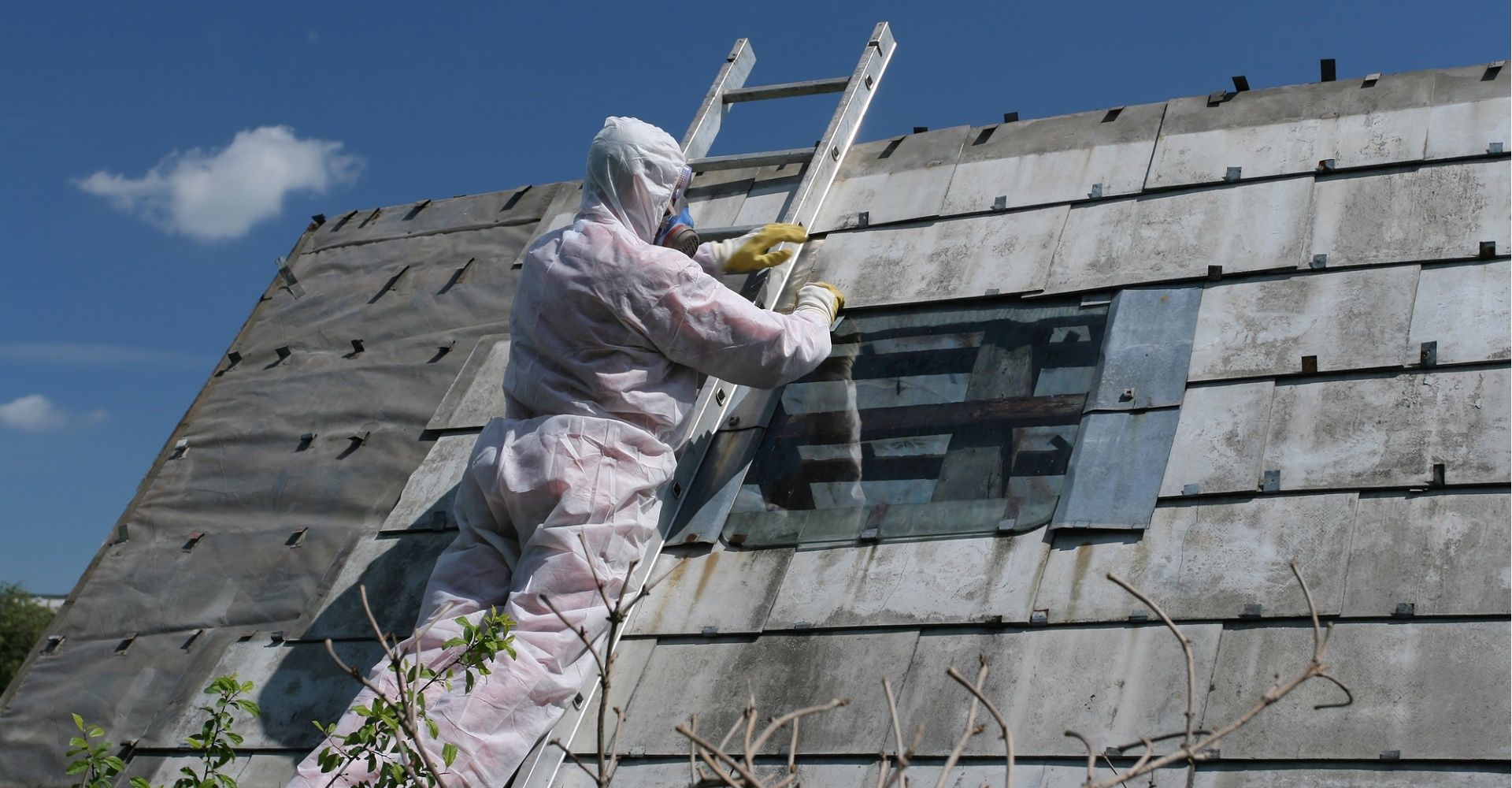 How can be asbestos survey useful for our health? 