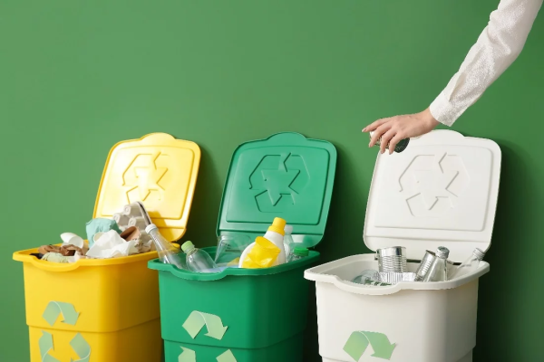 Eco-Friendly Waste Disposal: How Garbage Bin Rentals Contribute to Sustainability