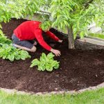 Top hardscaping ideas for homes in surrey