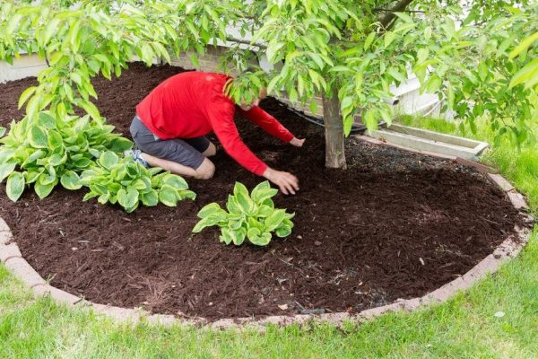 Top hardscaping ideas for homes in surrey